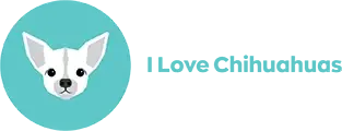 chihuacorner.com logo