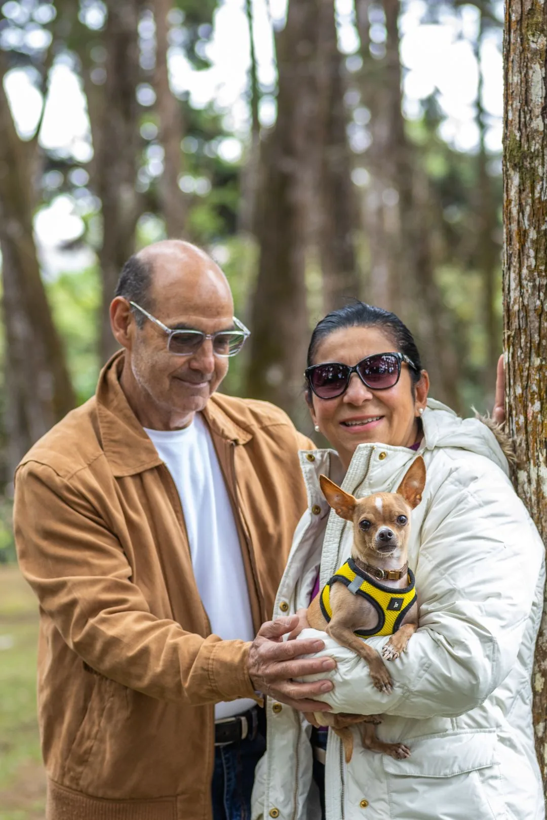 A couple holding their small senior chihuahua outdoors among trees