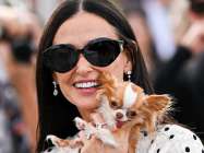 Demi Moore's Chihuahua Pilaf Moved by Tom Holland's Play feature image