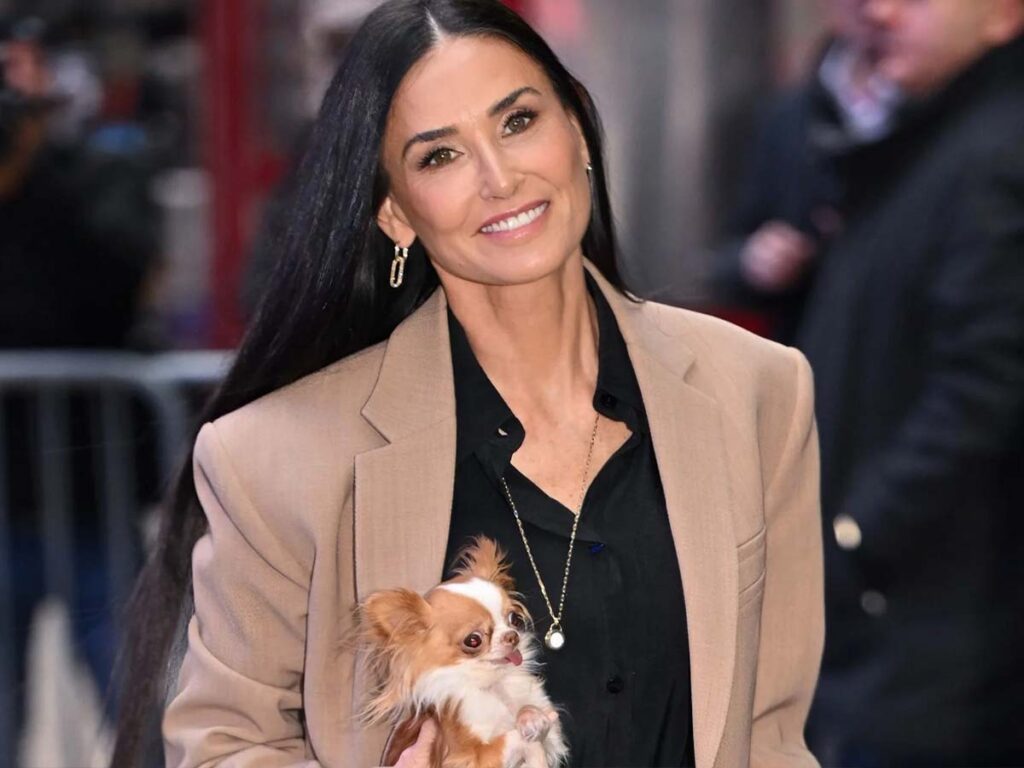 Demi Moore carrying her Chihuahua Pilaf in a small chest sling during their travels