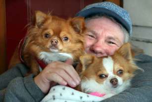 Timaru Group Bonds over Love of Chihuahuas featured image