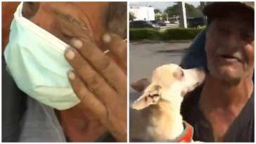 Homeless Man Reunited With Stolen Chihuahua featured image