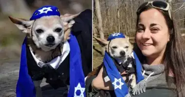 This 13-Year-Old Chi has his Own Bar Mitzvah featured image