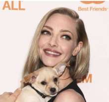 The Dog-Adoring Amanda Seyfried Fell in Love with this Chi-Mix featured image