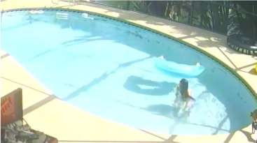 Woman Accused of Drowning Chihuahua in Swimming Pool featured image