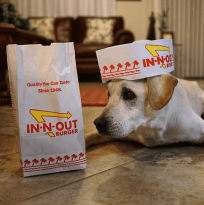 Chi's Reactions to Trying ‘In-N-Out Burger’ Are Totally on Point featured image