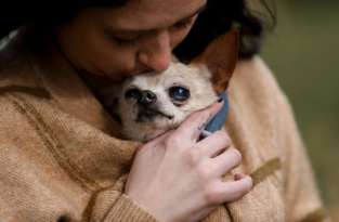 This Woman Takes End-of-Life Pictures for Euthanized Pets featured image