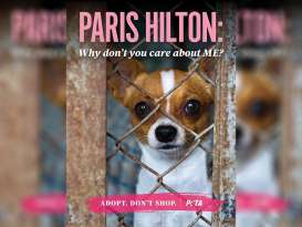 PETA Criticizes Paris Hilton for Problematic Chi Purchase featured image