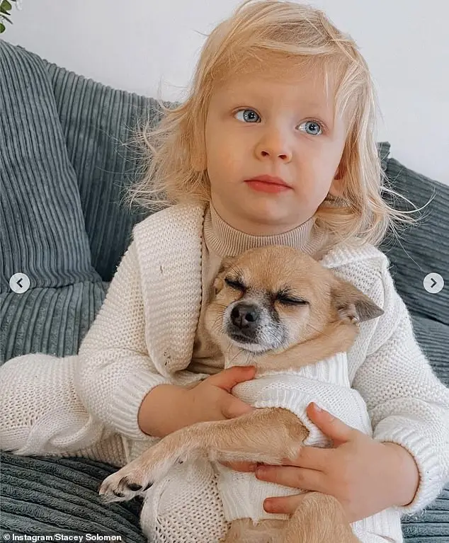 Sleepy: Stacey shared an array of sweet throwback snaps of her beloved pet, including one of Theo wearing a white knitted jumper