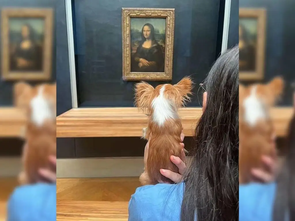 Pilaf, the Demi Moore pup seen in the Louvre museum - Credits: Demi Moore Instagram
