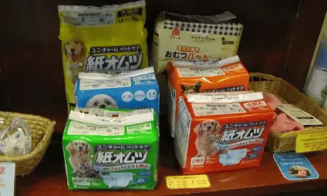 Dog nappies on sale in Japan. Photograph: Ruth Evans