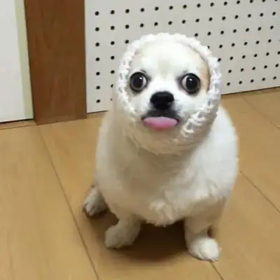 2 1