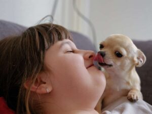 Read more about the article 5 Reasons Why Chihuahuas Lick Your Face