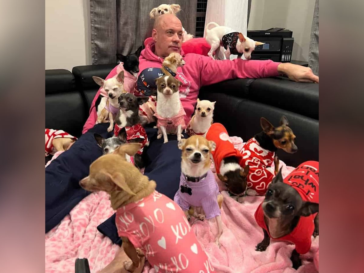 Bobby Humphreys: The Giant Who Rescued 30 Chihuahuas — Chihuacorner.com