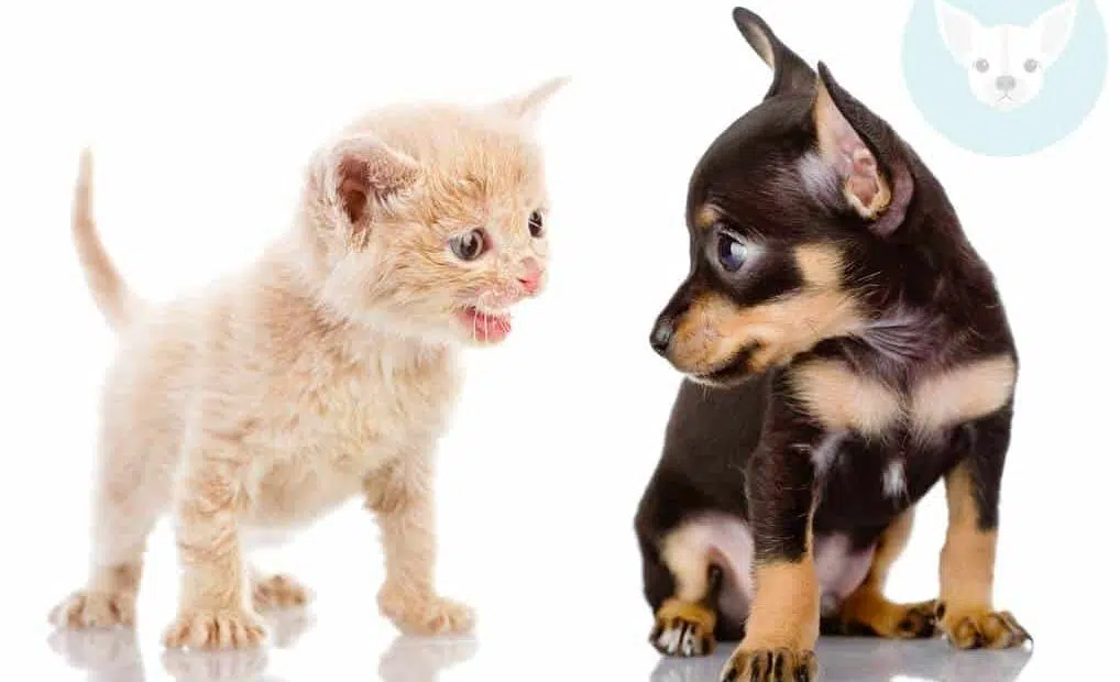 shutterstock 115357324 result