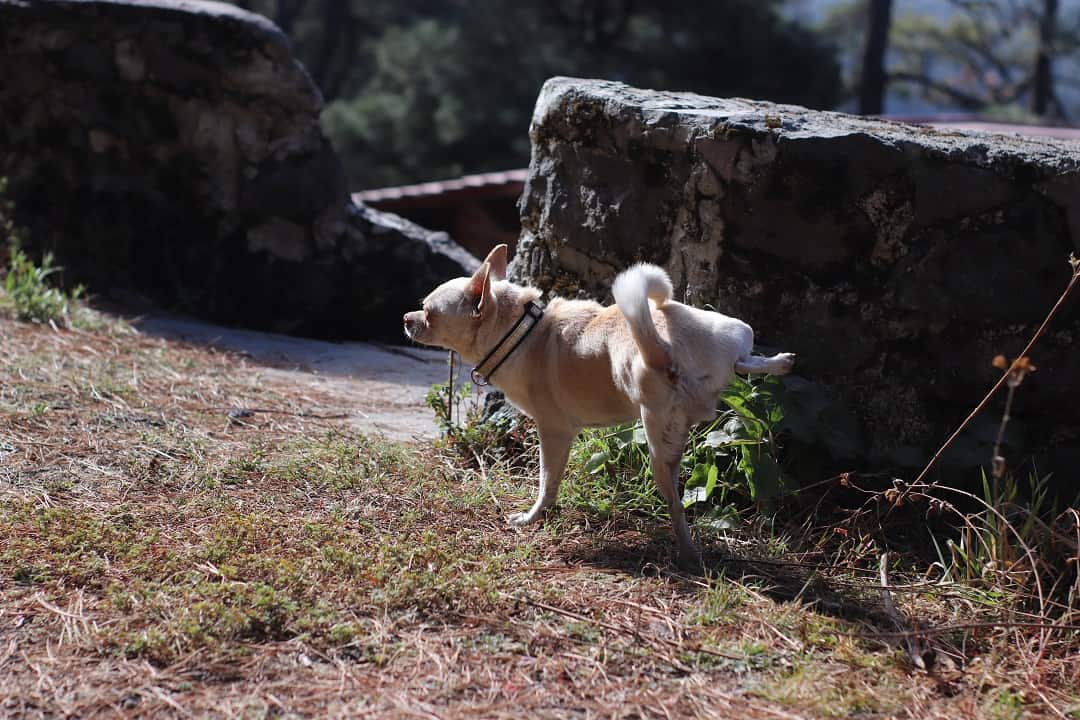 shutterstock 1325890895