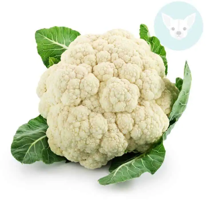 Share the Cauliflower