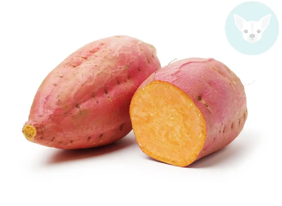 Savory Sweet Potato