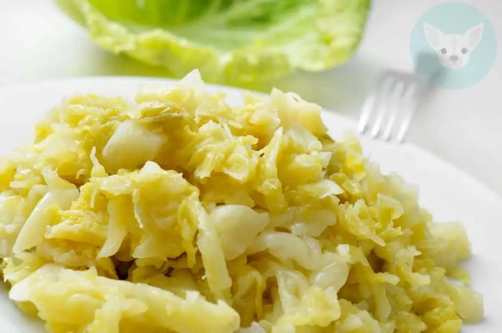 Cooked-up Cabbage