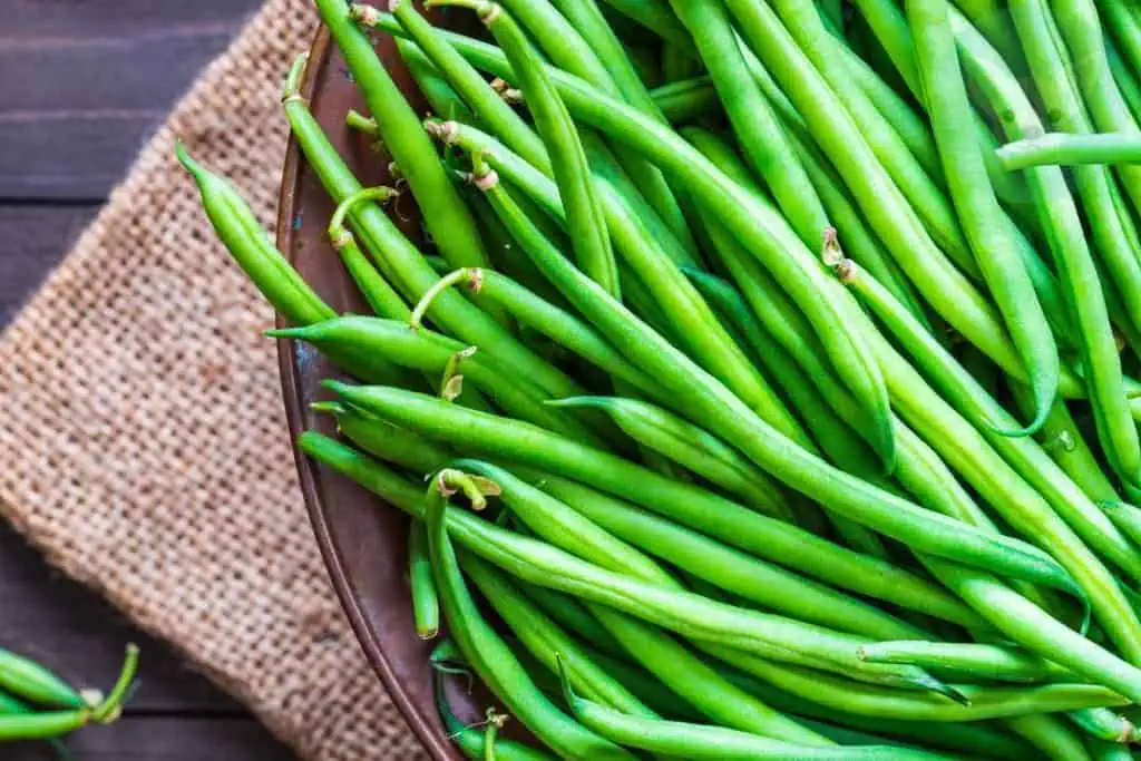 Green Beans are Great!