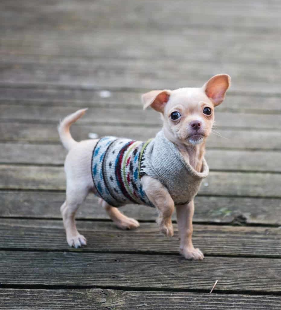 shutterstock 387397189