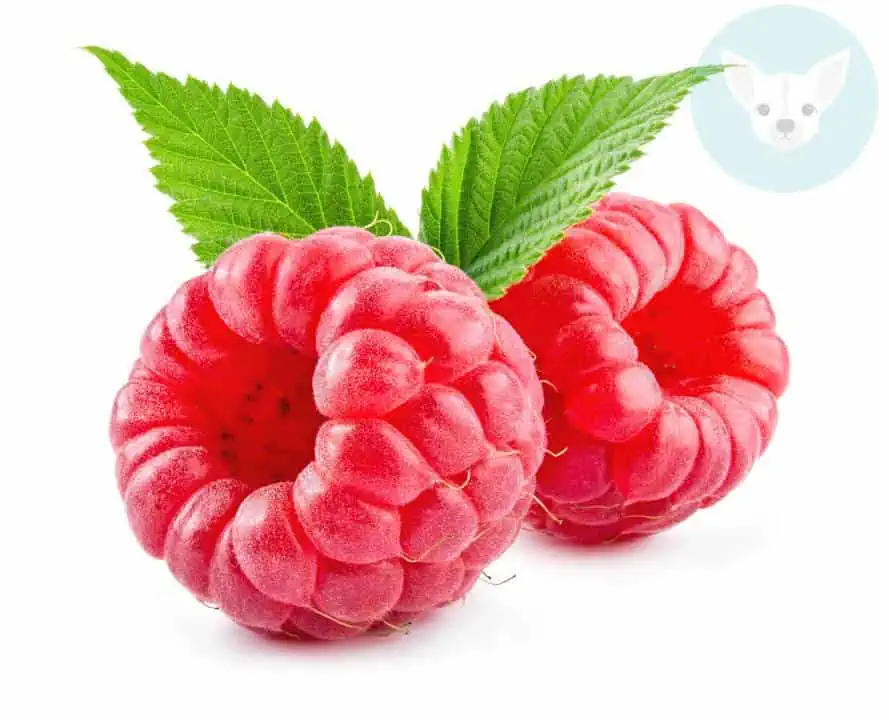 Red Raspberries, Really