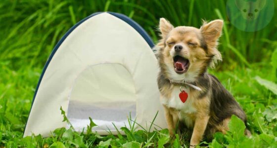 shutterstock 83423671 result