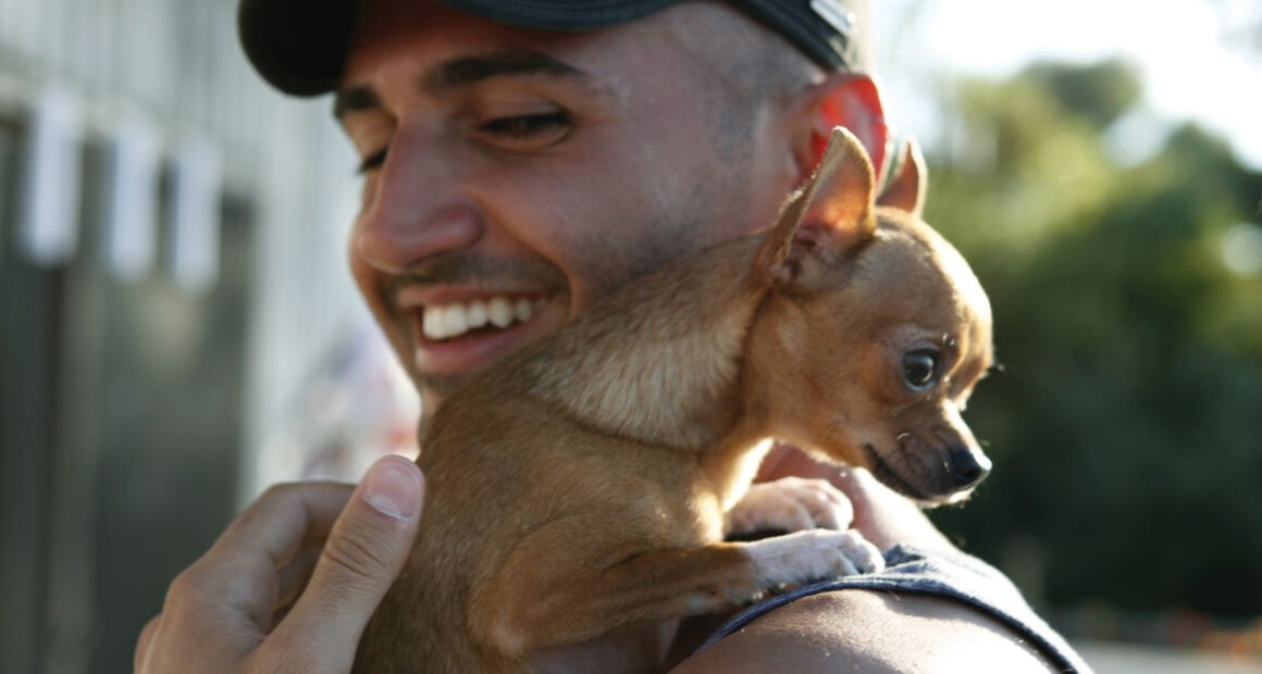 Three Ways to Bond with Your Chihuahua - Chihuacorner.com