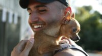 Three Ways to Bond with Your Chihuahua - Chihuacorner.com