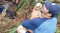 Florida dog owner reunites with Chihuahua missing for days after New Years Eve car crash 2