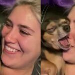 Pint-Sized Chihuahua Unable To Contain His Love For Mom’s Kisses