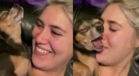 Pint Sized Chihuahua Unable To Contain His Love For Mom’s Kisses