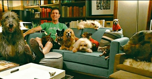 alldogsadopting featured