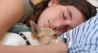 chihuahua sleep with women result