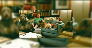 Read more about the article Man Adopts All Dogs Nobody Wanted