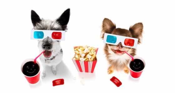 shutterstock 1386518903 result