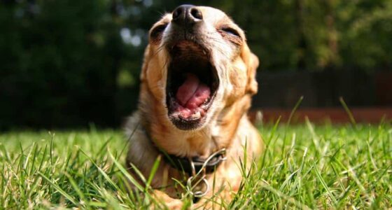 shutterstock 404737528