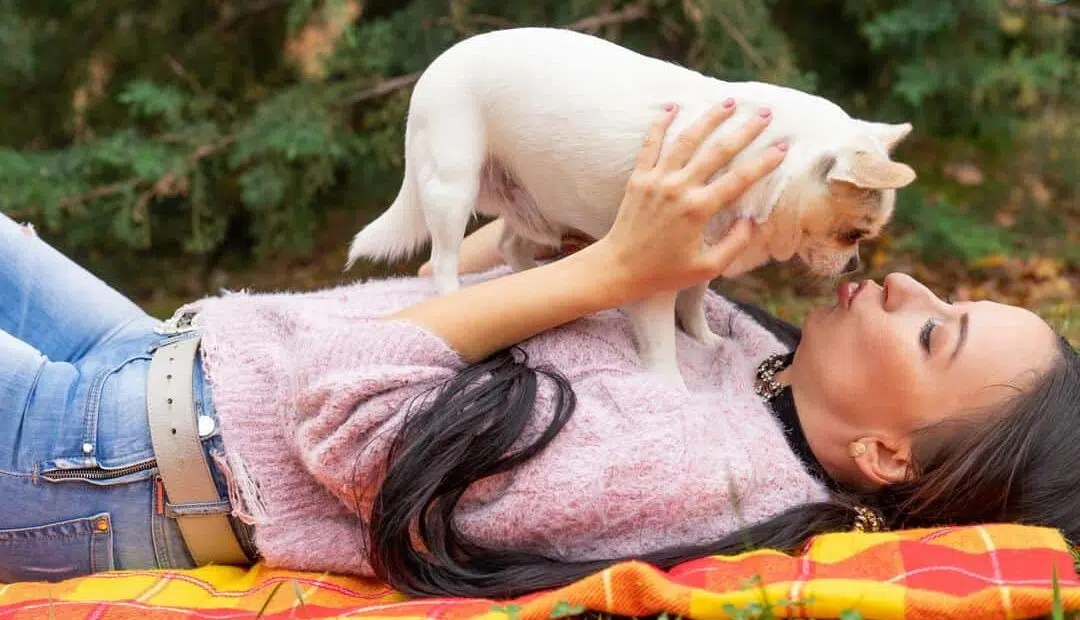 women laying on mat taking chihuahua in her hands