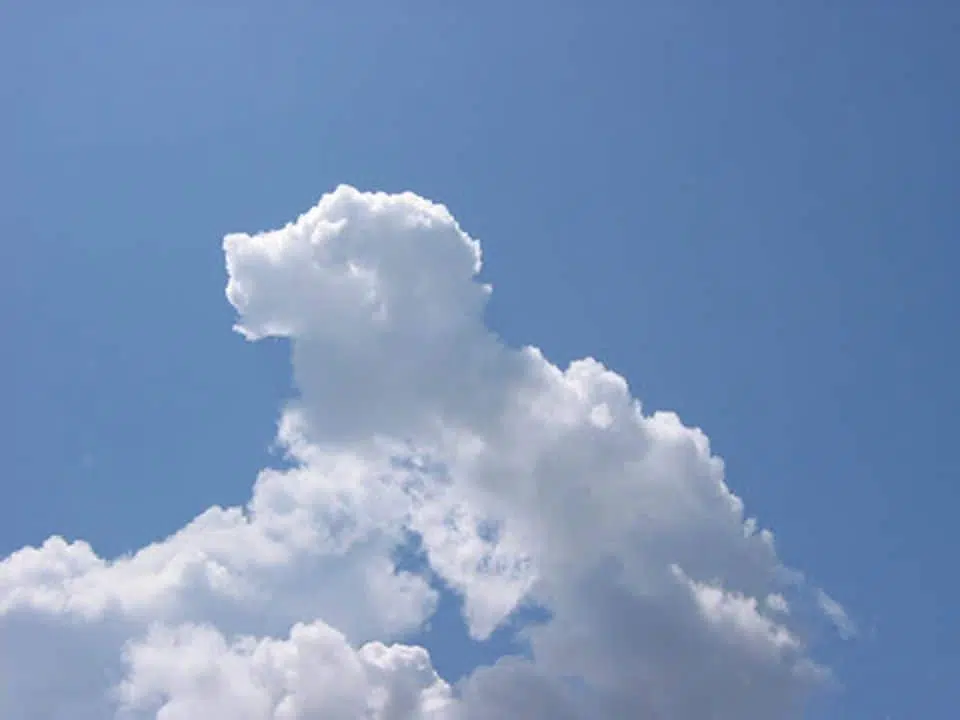 DogClouds 3 2