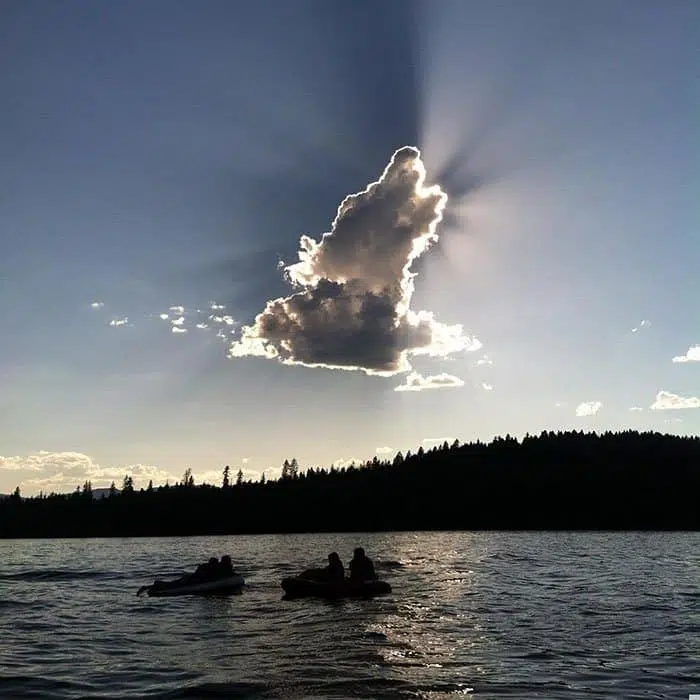 DogClouds 5 2