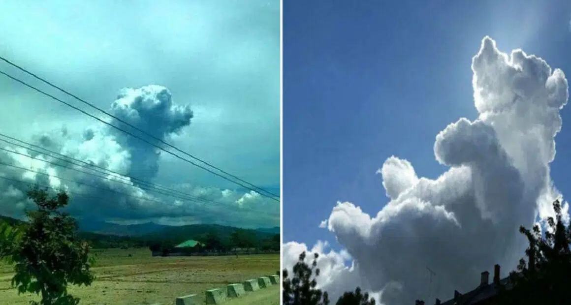 People Say That Dogs Go In Heaven Based On These Dog Shaped Clouds 1