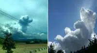 People Say That Dogs Go In Heaven Based On These Dog Shaped Clouds 1