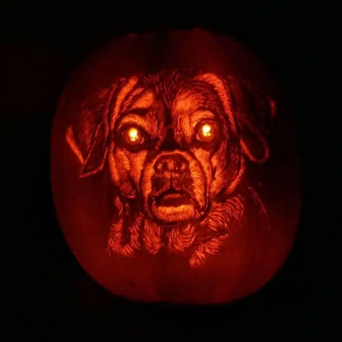 dog dad spends 3 hours carving a dog o lantern that looks exactly like his pomeranian 01