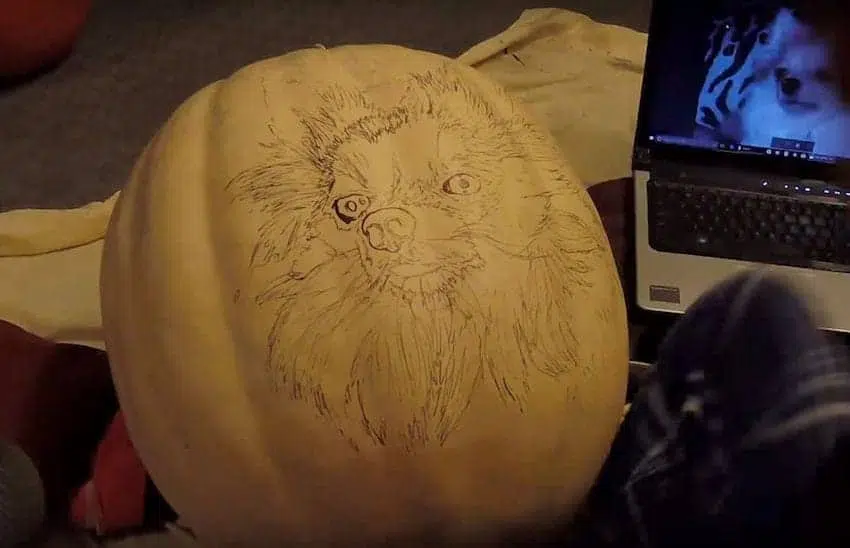dog dad spends 3 hours carving a dog o lantern that looks exactly like his pomeranian 04
