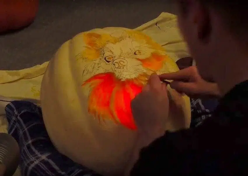 Dog Dad Spends 3 Hours Carving “Dog-O’-Lantern” 6 dog dad spends 3 hours carving a dog o lantern that looks exactly like his pomeranian 06