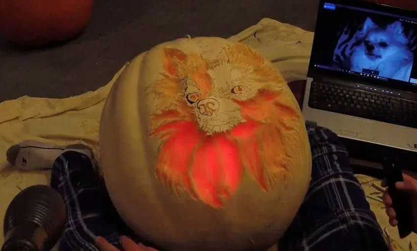 dog dad spends 3 hours carving a dog o lantern that looks exactly like his pomeranian 07