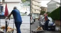 Man captured on camera taking a sick dog for a walk every day is praised by thousands