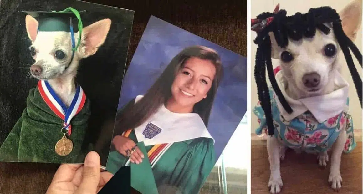 People are laughing over this college student who replaced pictures of the family with pictures of her dog