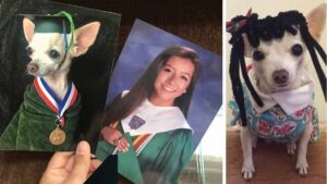 Read more about the article College Student Replaces Pictures of Family with Chihuahua