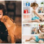 Are Chihuahuas Good with Kids?